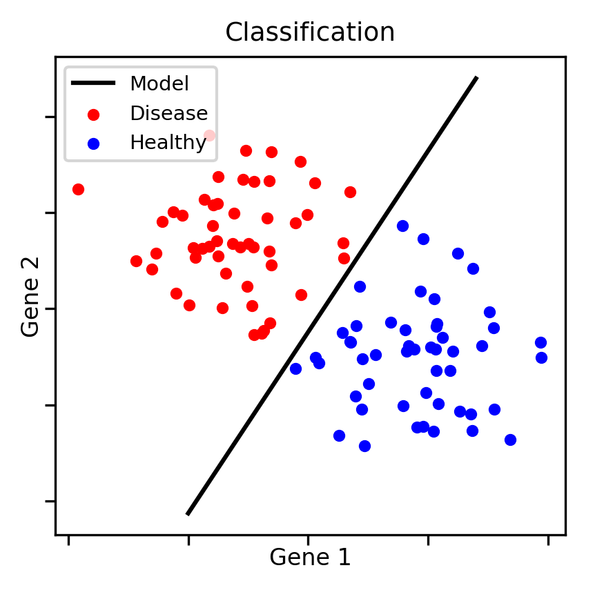 classification